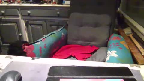 Snapshot of peter_on_kik chatting on November 1, 2025, 4:25 am make me cum in pvt dutch german daddy c2c bigcock online show from November 1, 2025, 4:25 am