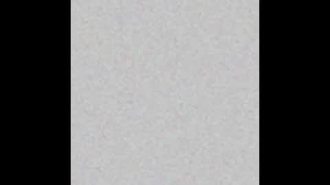 Snapshot of peternights chatting on February 16, 2025, 6:10 pm Maximus online show from February 16, 2025, 6:10 pm