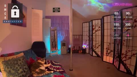 Snapshot of petitejewel chatting on December 27, 2024, 9:17 am Jules online show from December 27, 2024, 9:17 am