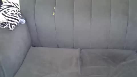 Snapshot of petitekittyy chatting on June 11, 2026, 1:49 am Kitty online show from June 11, 2026, 1:49 am