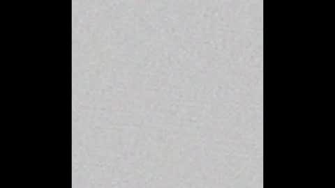 peytonn_monroe online show from December 14, 2025, 3:01 am