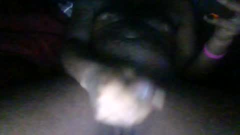 Snapshot of phantomb100 chatting on October 24, 2025, 5:04 am Phantomblaze online show from October 24, 2025, 5:04 am