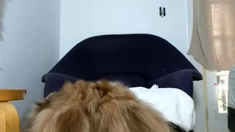 Snapshot of phattbooty80 chatting on December 9, 2024, 5:52 pm TheSkyeWoods online show from December 9, 2024, 5:52 pm