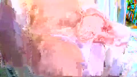 Gabu online show from November 26, 2025, 8:59 am