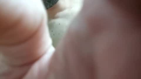 Snapshot of piacere39 chatting on December 9, 2024, 9:16 pm piacere39 online show from December 9, 2024, 9:16 pm