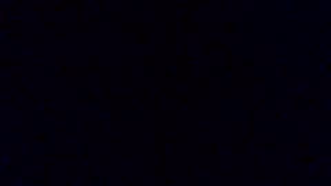 pickledalivemrf online show from February 19, 2026, 3:46 am