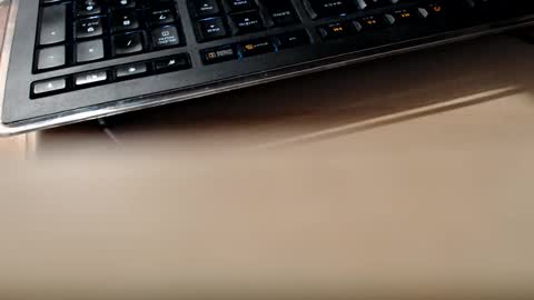 pier49x online show from February 13, 2025, 1:50 am