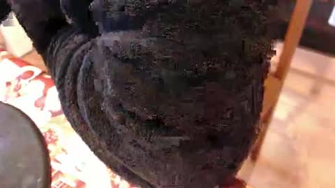 piercedcock069 online show from January 17, 2026, 10:09 am