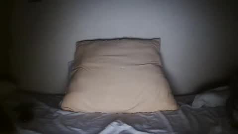 pieslatinos online show from January 31, 2025, 4:14 am