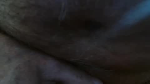 Pit online show from February 23, 2025, 2:04 pm