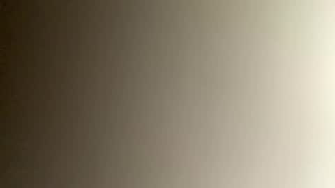 Bee online show from December 3, 2024, 10:51 pm