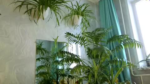 Tatyana online show from February 11, 2026, 5:34 am