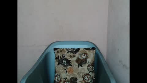 pinkyxxpussy online show from February 8, 2026, 11:19 pm