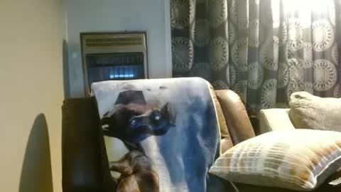 pirate334 online show from January 7, 2026, 11:29 pm