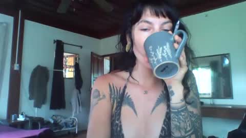 pixiecatfairy online show from November 13, 2025, 2:21 am