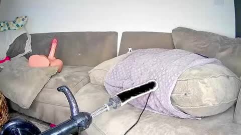 PeggedBiGuy online show from April 25, 2026, 9:23 am