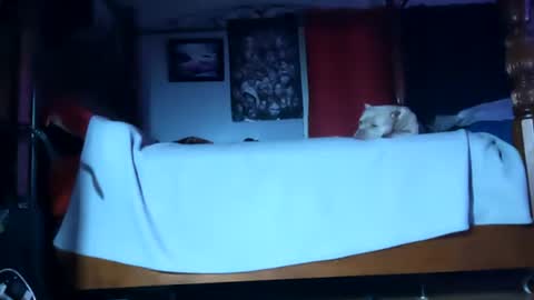 SEX ADDICTION WANNA MEET online show from January 20, 2025, 6:10 am