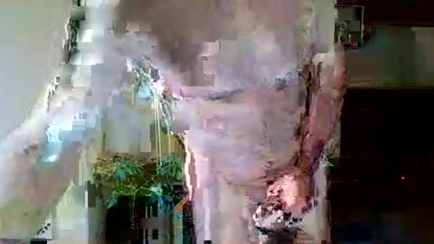 pluchet online show from May 7, 2026, 4:56 pm