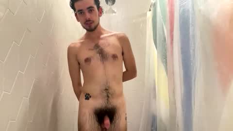 Pluto The Pup online show from November 18, 2025, 8:46 pm