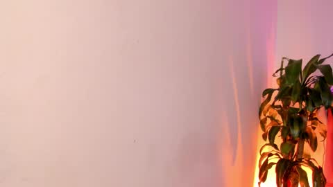 Patrocla online show from February 13, 2025, 5:11 pm