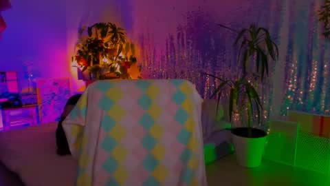 Martha online show from February 9, 2026, 3:49 pm