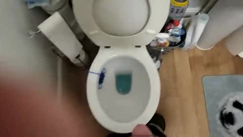 polishx42 online show from February 2, 2026, 3:55 pm