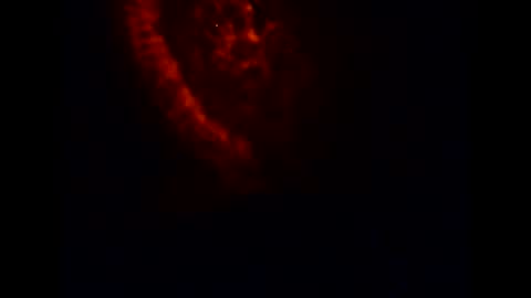 pollachico online show from November 20, 2025, 8:14 am