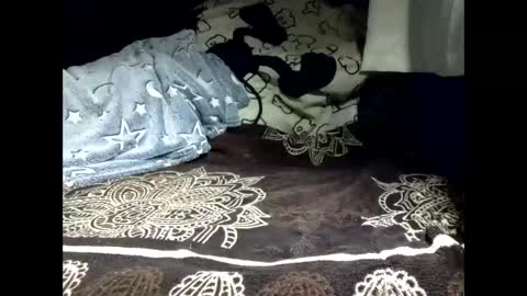 pollachico online show from February 18, 2026, 8:32 am