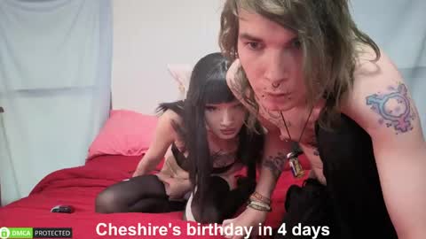 Cheshire  Bee online show from June 5, 2026, 11:54 pm