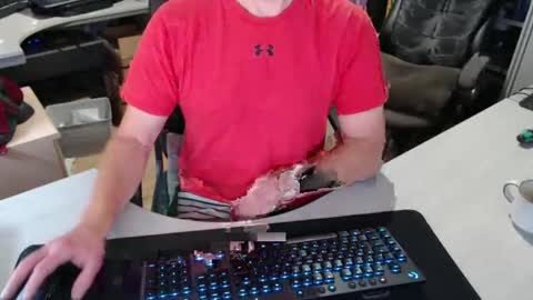 Snapshot of poodledude chatting on October 29, 2025, 11:23 am Dave online show from October 29, 2025, 11:23 am