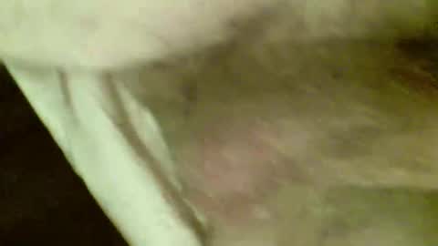 OD online show from November 26, 2025, 7:48 pm