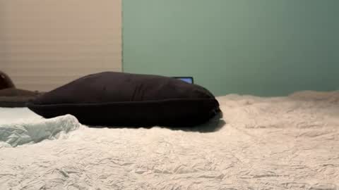 poundkakes online show from July 11, 2026, 3:31 am