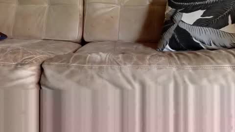 ppsmall_17 online show from February 8, 2026, 6:33 pm