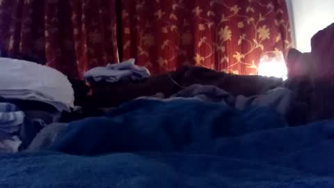 Snapshot of pretty_boy_jack chatting on February 25, 2025, 6:03 am pretty_boy_jack online show from February 25, 2025, 6:03 am