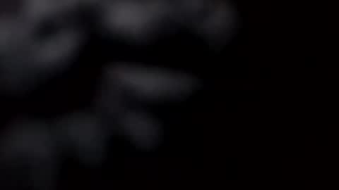 Snapshot of pretty_boy_jack chatting on February 28, 2025, 10:52 am pretty_boy_jack online show from February 28, 2025, 10:52 am