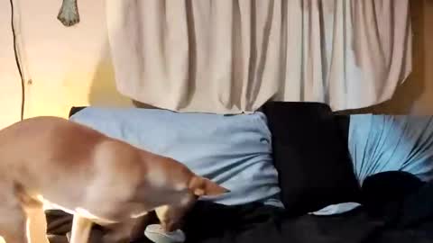 Prettyslangin69 FYPM online show from February 26, 2025, 7:53 am