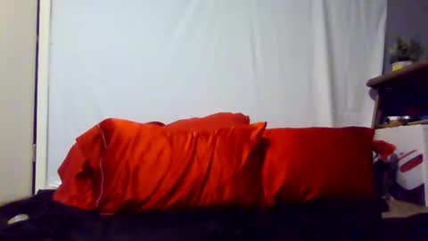 Snapshot of prettyhairedbone chatting on February 18, 2026, 3:24 am Pink Pussy69 online show from February 18, 2026, 3:24 am