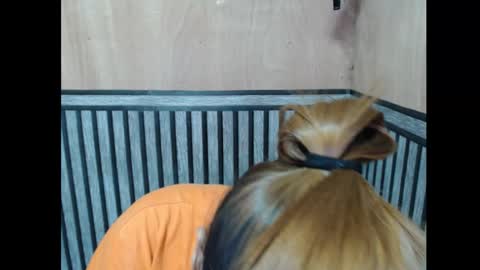 Snapshot of prettykate_04 chatting on November 7, 2025, 6:08 pm Kate online show from November 7, 2025, 6:08 pm