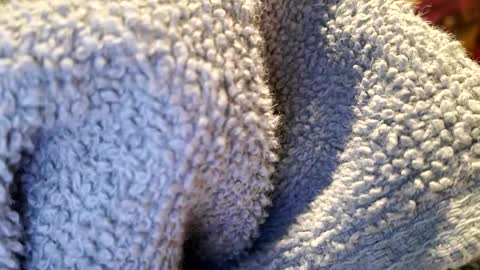 Snapshot of prettyprick4u chatting on January 22, 2025, 1:42 pm PrettyPrick4U online show from January 22, 2025, 1:42 pm