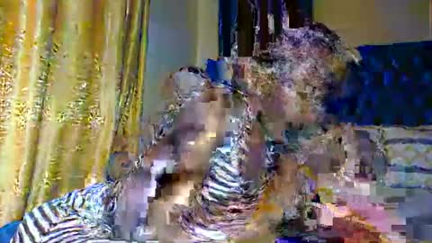 sasha online show from November 10, 2025, 7:13 pm