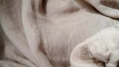 prettyrose01 online show from July 14, 2026, 10:48 pm