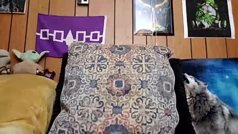 prettysolidd7 online show from January 28, 2025, 8:57 am