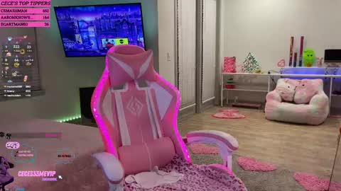 Snapshot of princess_cece chatting on February 12, 2025, 4:01 am Cece NEXT LIVESTREAM -- DEC. 4th 7 PM CST online show from February 12, 2025, 4:01 am