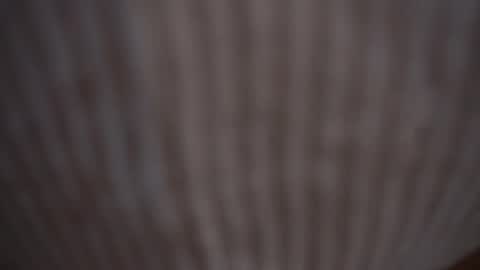 Snapshot of princessasiana chatting on February 9, 2025, 11:14 am Assi Incognito girl online show from February 9, 2025, 11:14 am