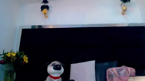 priscilarainbow online show from June 11, 2026, 12:32 am