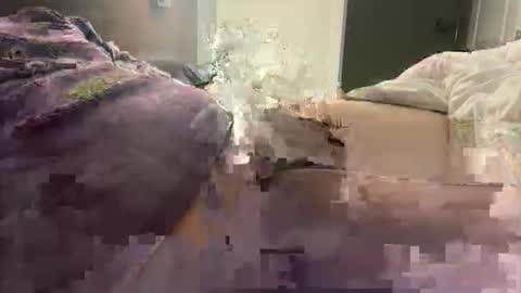 Snapshot of prishpreed23 chatting on March 12, 2026, 11:38 am prishpreed23 online show from March 12, 2026, 11:38 am