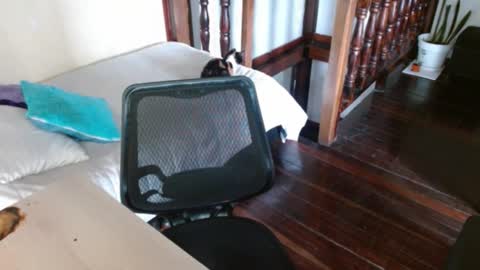 prismm_ online show from September 14, 2025, 1:21 pm