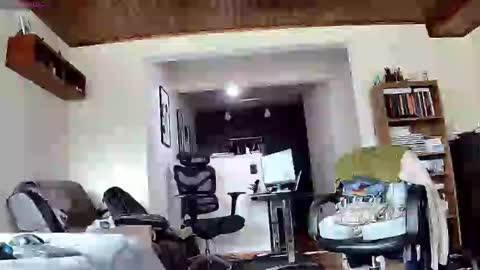 Probardetodo independent model online show from January 27, 2025, 3:18 pm