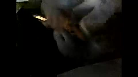 Clothingoptional online show from December 2, 2025, 6:03 pm