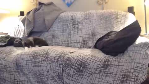 Snapshot of puff0169 chatting on February 12, 2026, 7:25 am puff0169 online show from February 12, 2026, 7:25 am